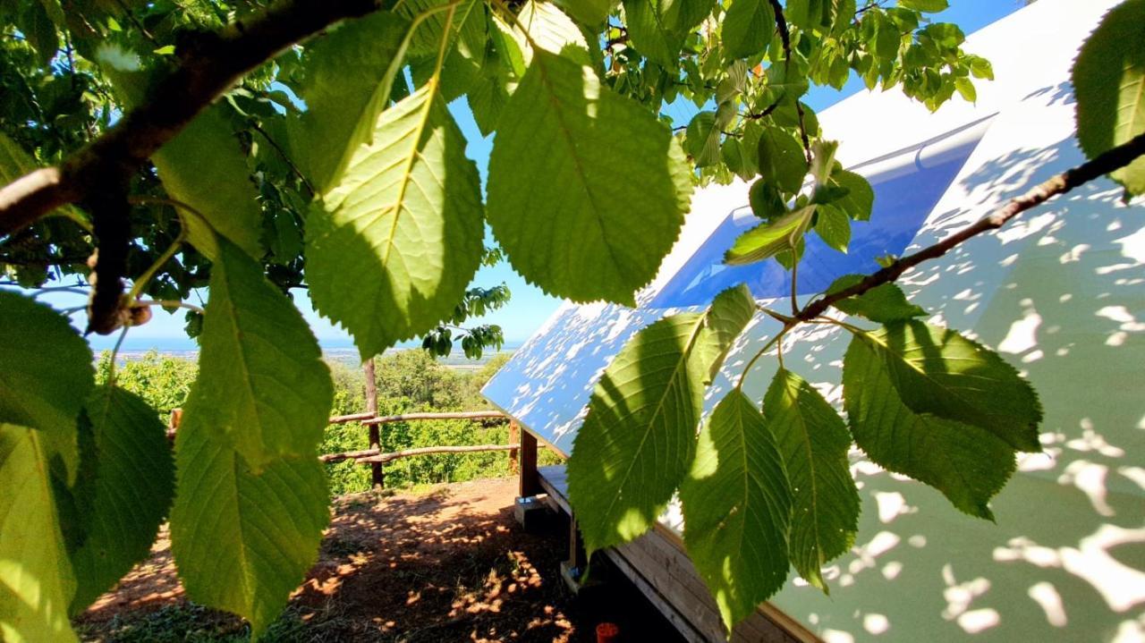 Agricamping La Gallinella Luxuszelt