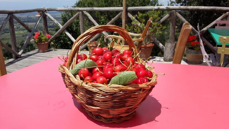 Luxuszelt Agricamping La Gallinella Castagneto Carducci