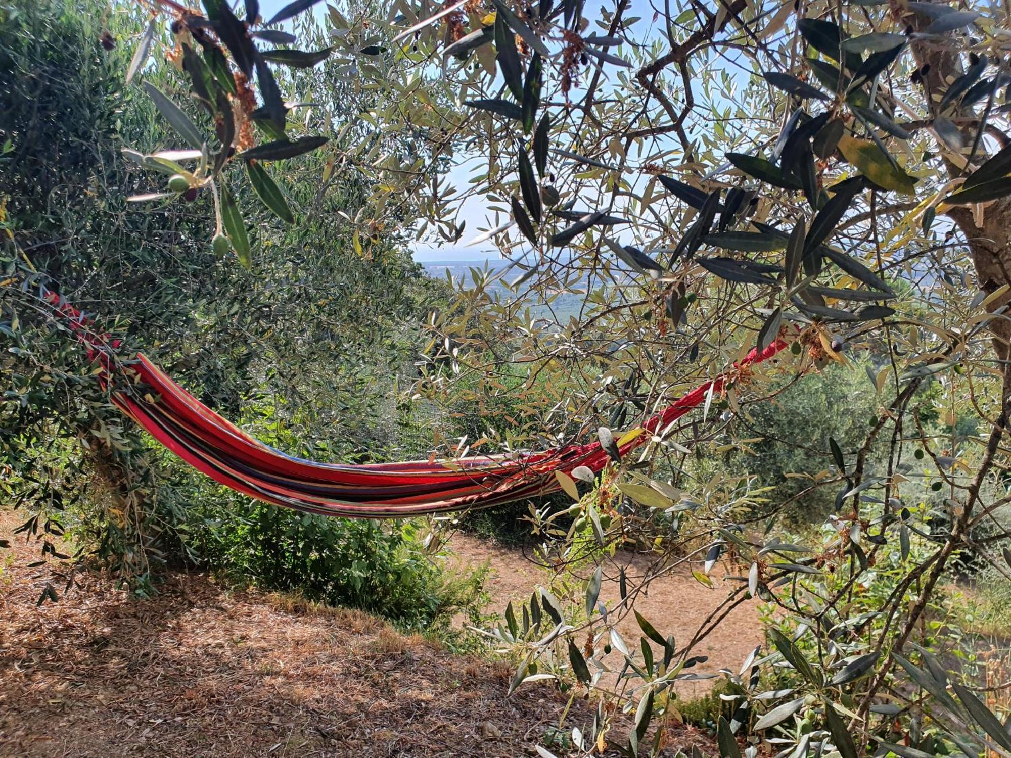 Agricamping La Gallinella *