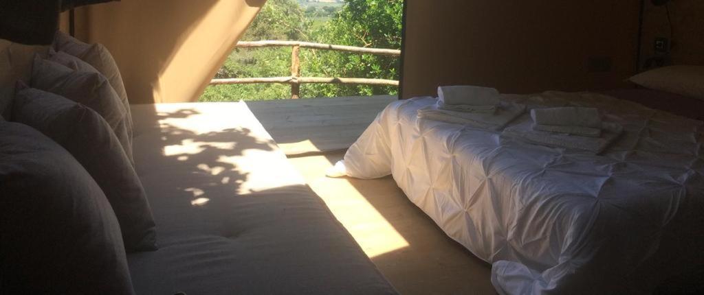 Agricamping La Gallinella Luxury tent *