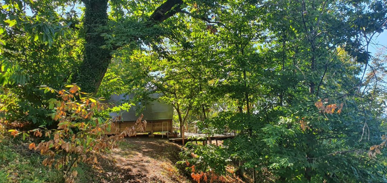 Agricamping La Gallinella Luxury tent