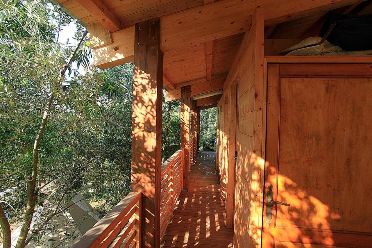 Luxury tent Agricamping La Gallinella