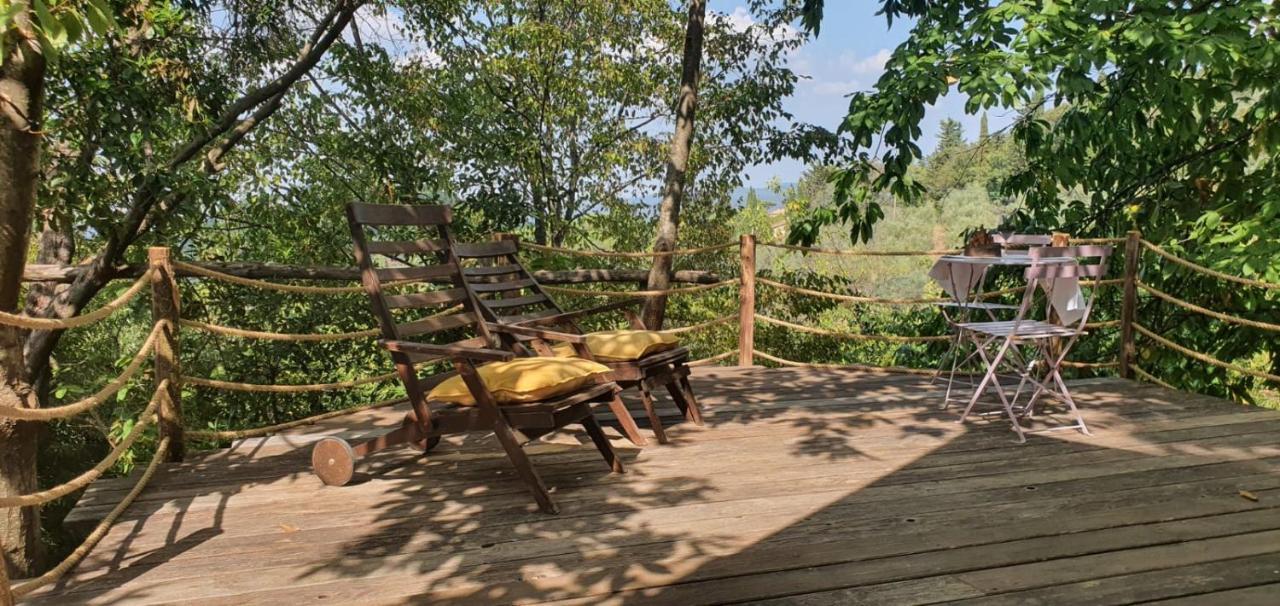 Agricamping La Gallinella Luxury tent Castagneto Carducci