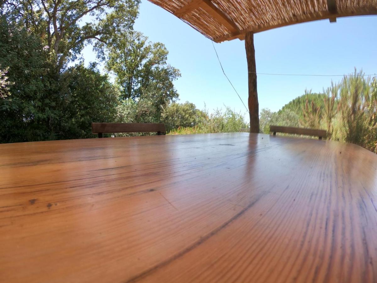 Luxury tent Agricamping La Gallinella *