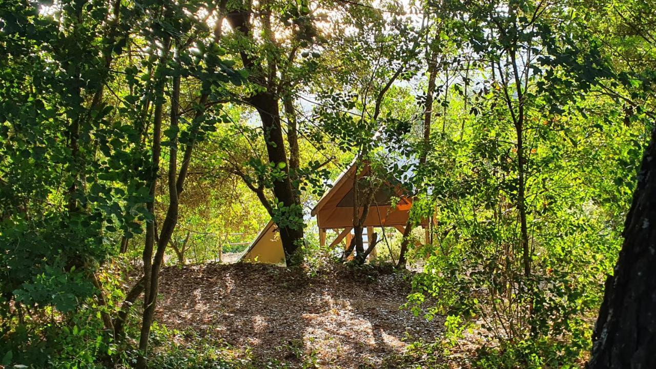 Luxury tent Agricamping La Gallinella *