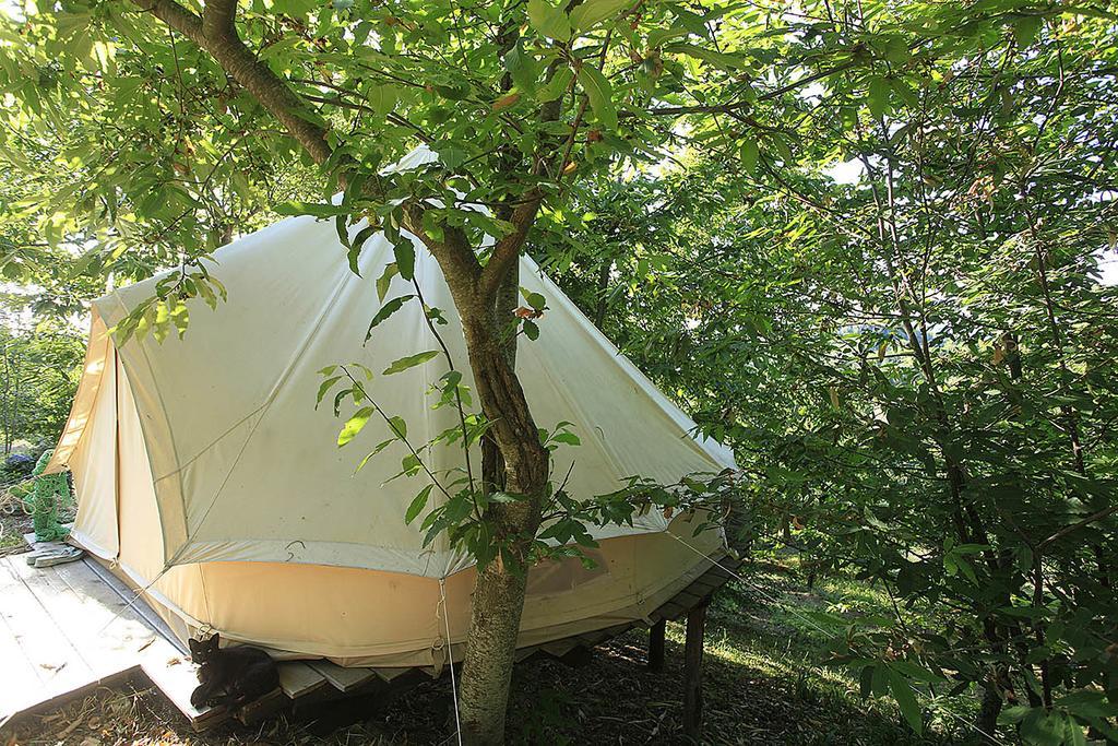 Luxury tent Agricamping La Gallinella Castagneto Carducci