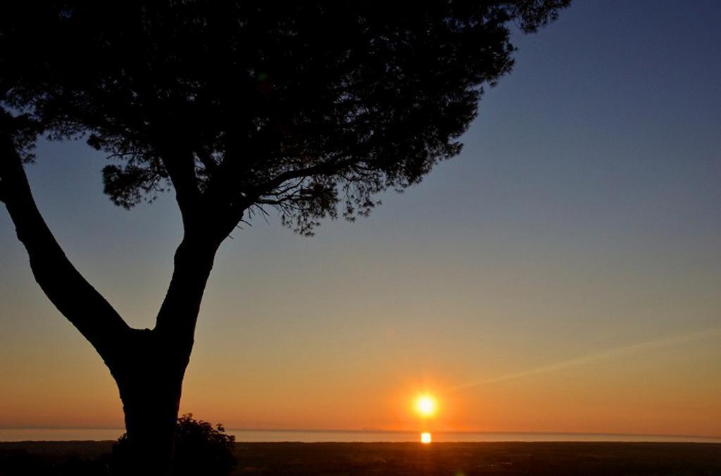 Agricamping La Gallinella Luxury tent
