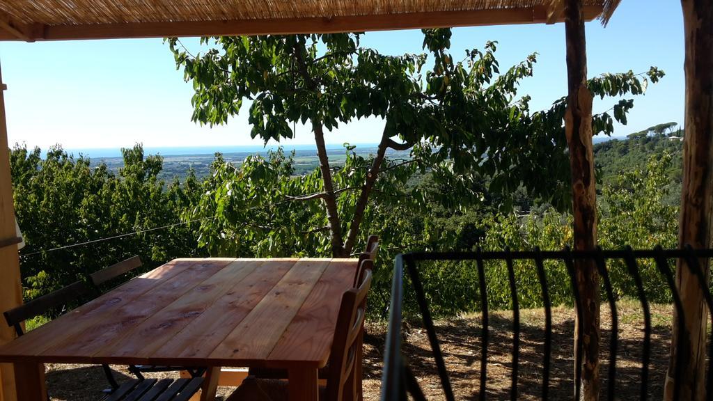 Agricamping La Gallinella Luxury tent Castagneto Carducci